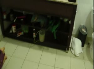 Прищепки на соски девушке прицепили и жестко трахаются
